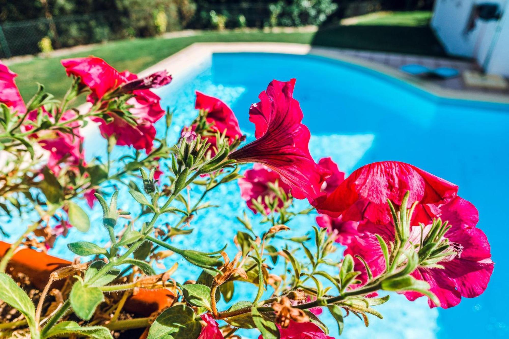 Bed and Breakfast Estalagem Bela Vista Мондин-ди-Башту Экстерьер фото
